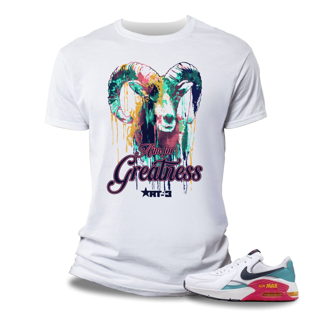 Risq Takers Aim For Greatness Tee Wht/Multi