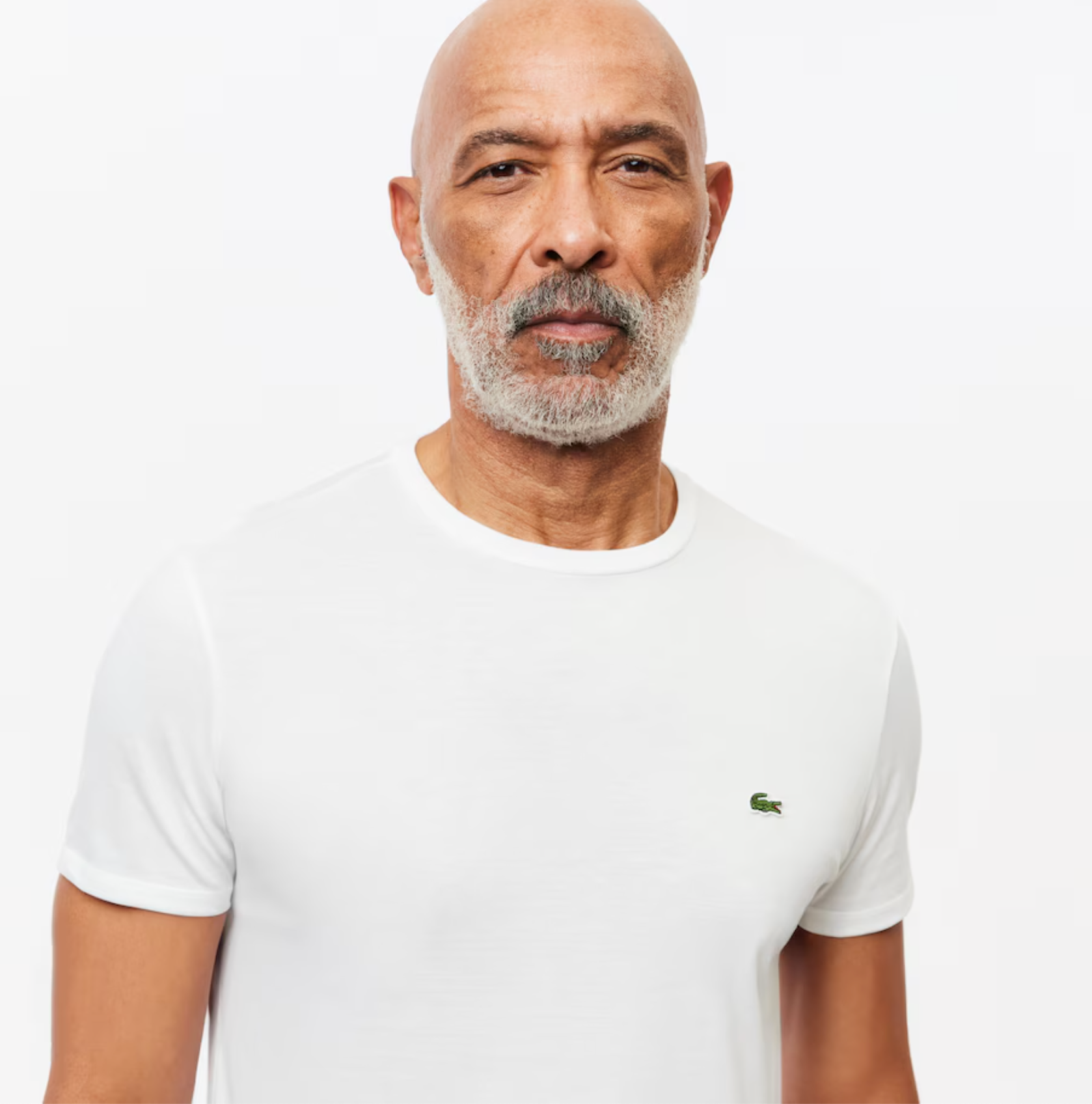 Lacoste Crew Neck Pima Cotton Jersey T-shirt White – Purple Carpet