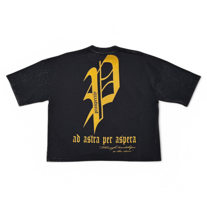Stray Prosperity Crop Shirt Black