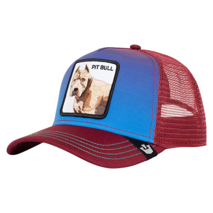 Goorin Bros. Dale Hat Blue And Burgundy