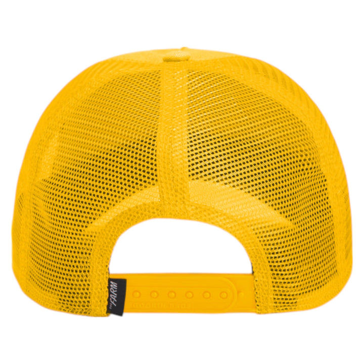 Goorin Bros. Safeguard Hat