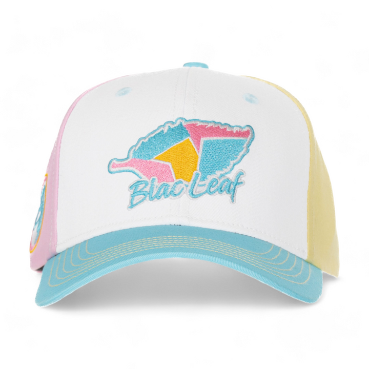 Blac Leaf Geometric Dad Hat