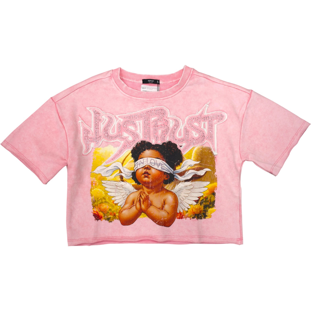 Red Fox Saint Crop Tee Light Pink