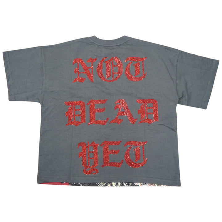 Silnt Chptrs Hell Hound Shirt Vintage Grey