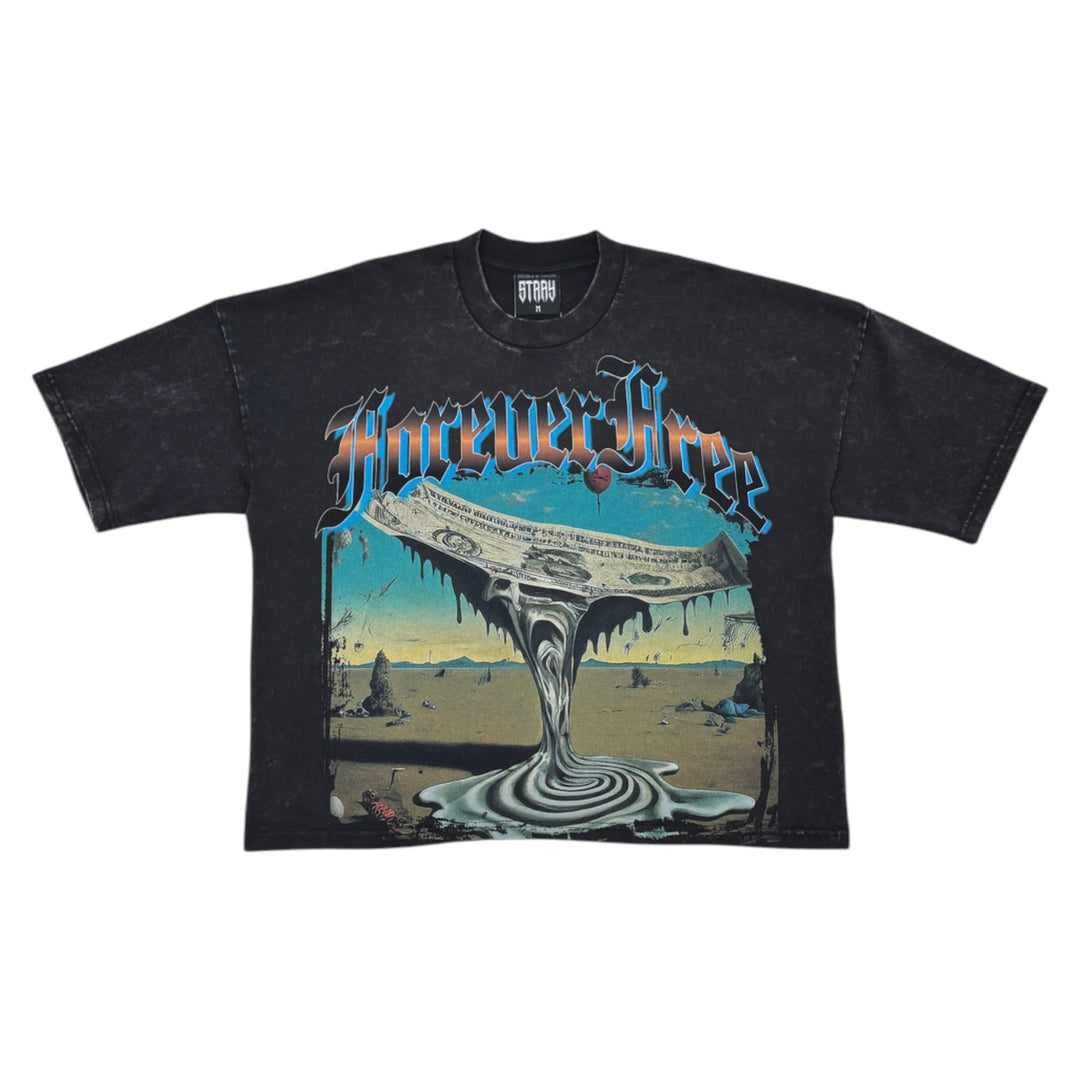 Stray Forever Free Crop Shirt Black & Focus Rip &Repair Stacked Denim Vintage Outfit Combo
