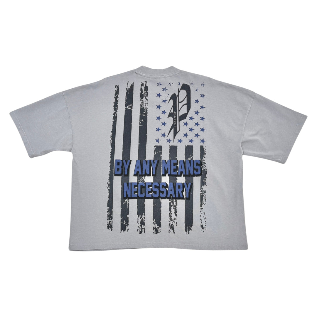 Stray Prosperity Crop Shirt Grey