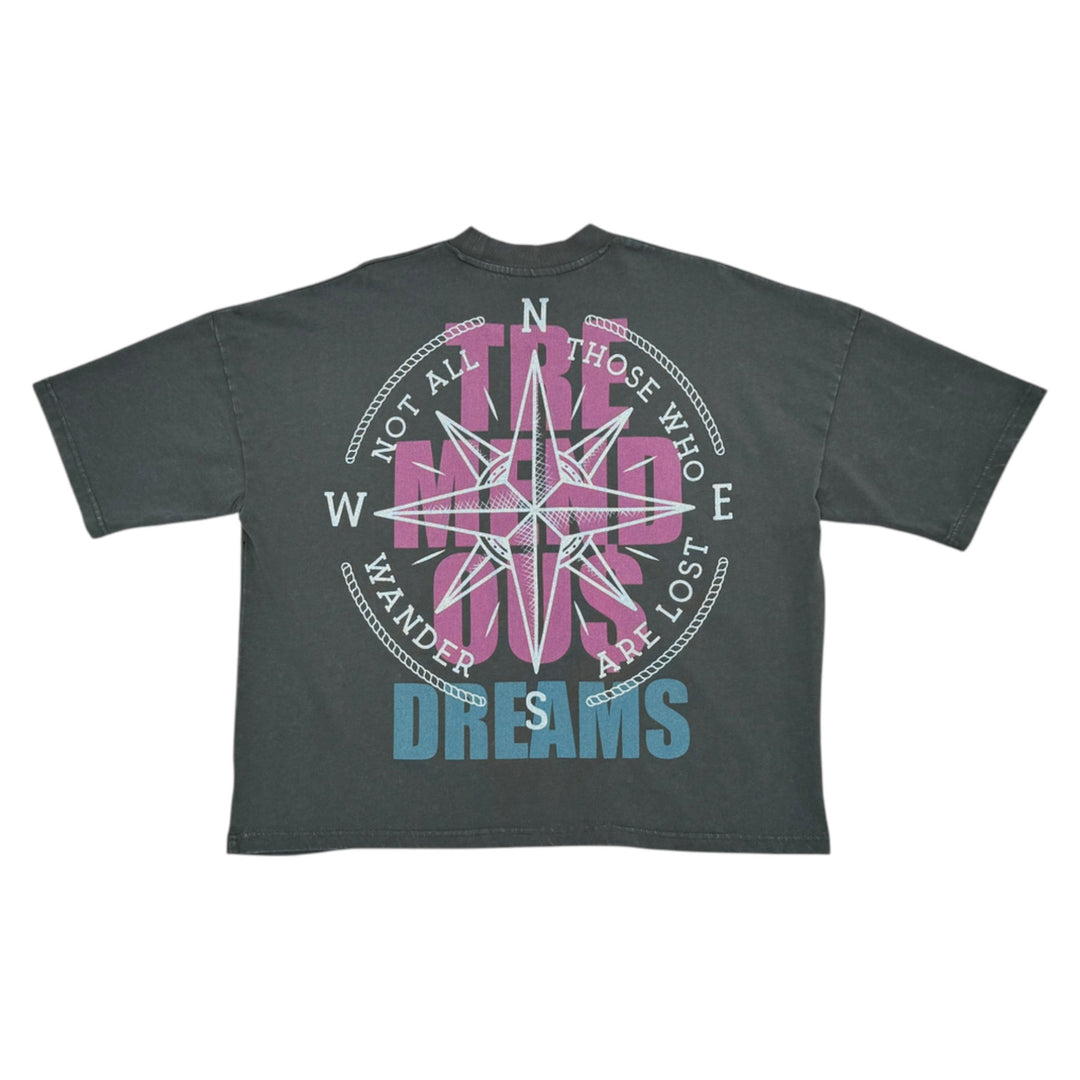 Stray Tremendous Crop Shirt Charcoal