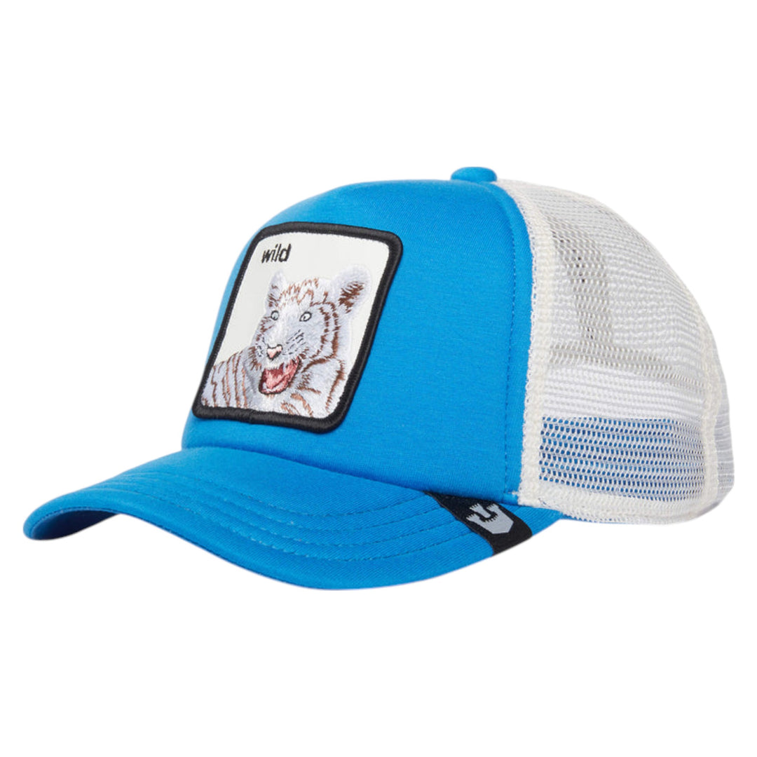Goorin Bros.  Kids Wild Stripes Hat