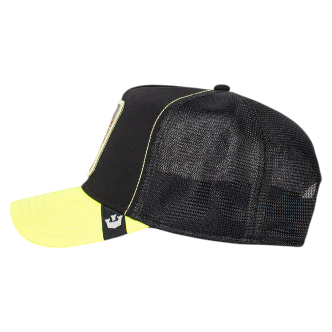 Goorin Brothers Everything The Light Touches Hat