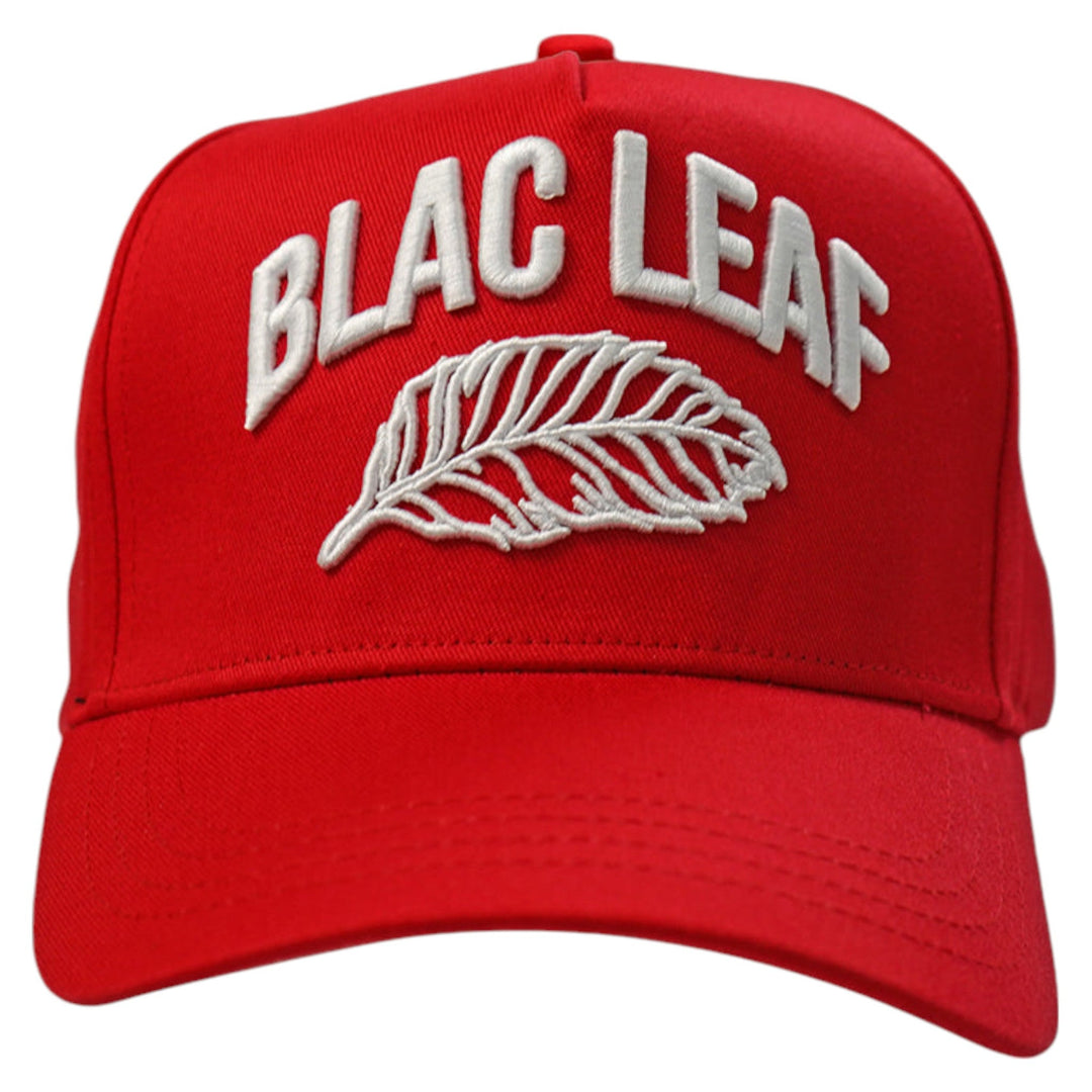 Blac Leaf Greatness Starts Within Trucker Hat, Greatness Starts Within Shirt, Greatness Starts Within Shorts  Outfit Combo