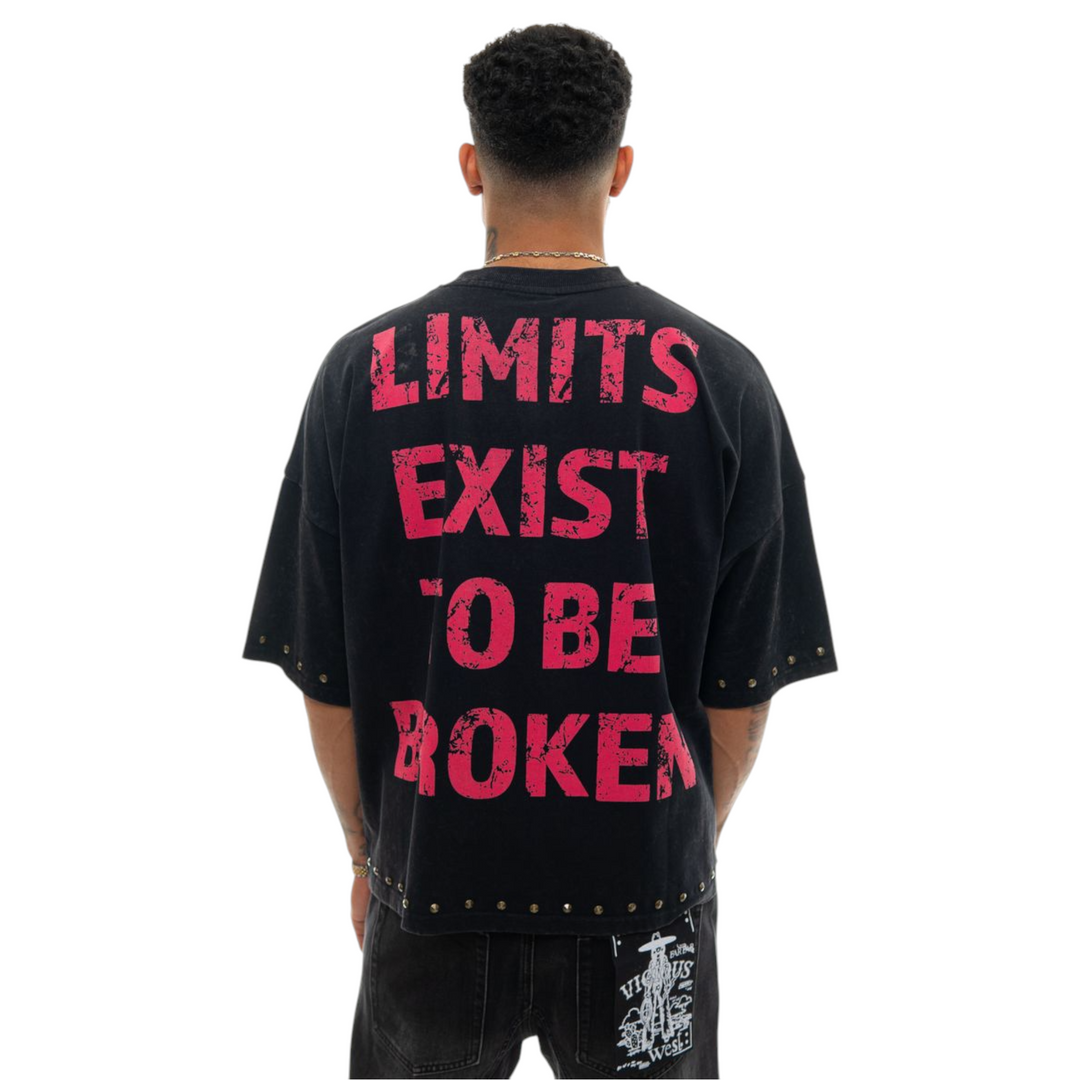 Stray Boundaries Crop Tee Black