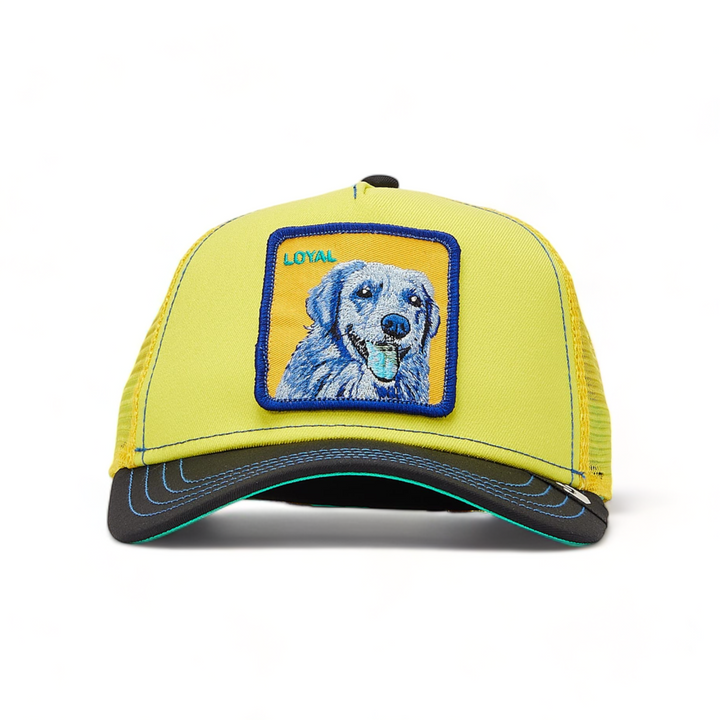 Goorin Brothers  Doggy Trip Hat