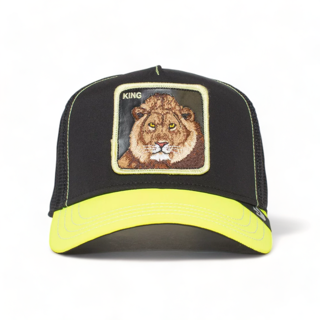Goorin Brothers Everything The Light Touches Hat